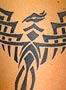 tribal phoenix tattoo